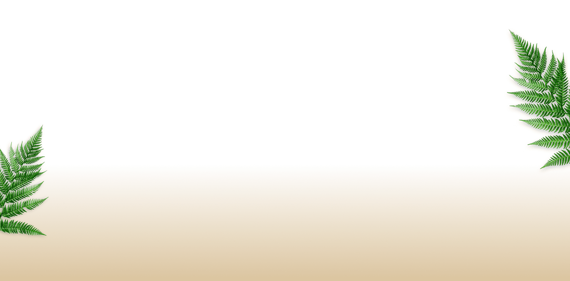 Testimonials Background